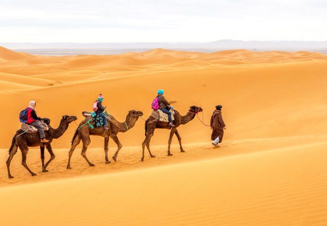 best travel agency in rajasthan, 22 days golden triangle tour with rajasthan, golden triangle tour, rajasthan desert tour plan | jaipur, bikaner, jaisalmer, jodhpur